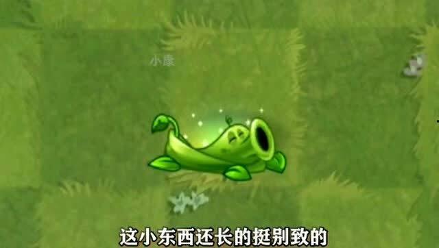 豌豆藤蔓爆料视频在线观看,揭秘视频背后的精彩瞬间